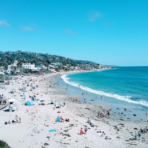 Meet your Posher, Sasha - Picture 6 of 8